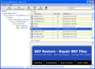 BKF File Recovery screenshot